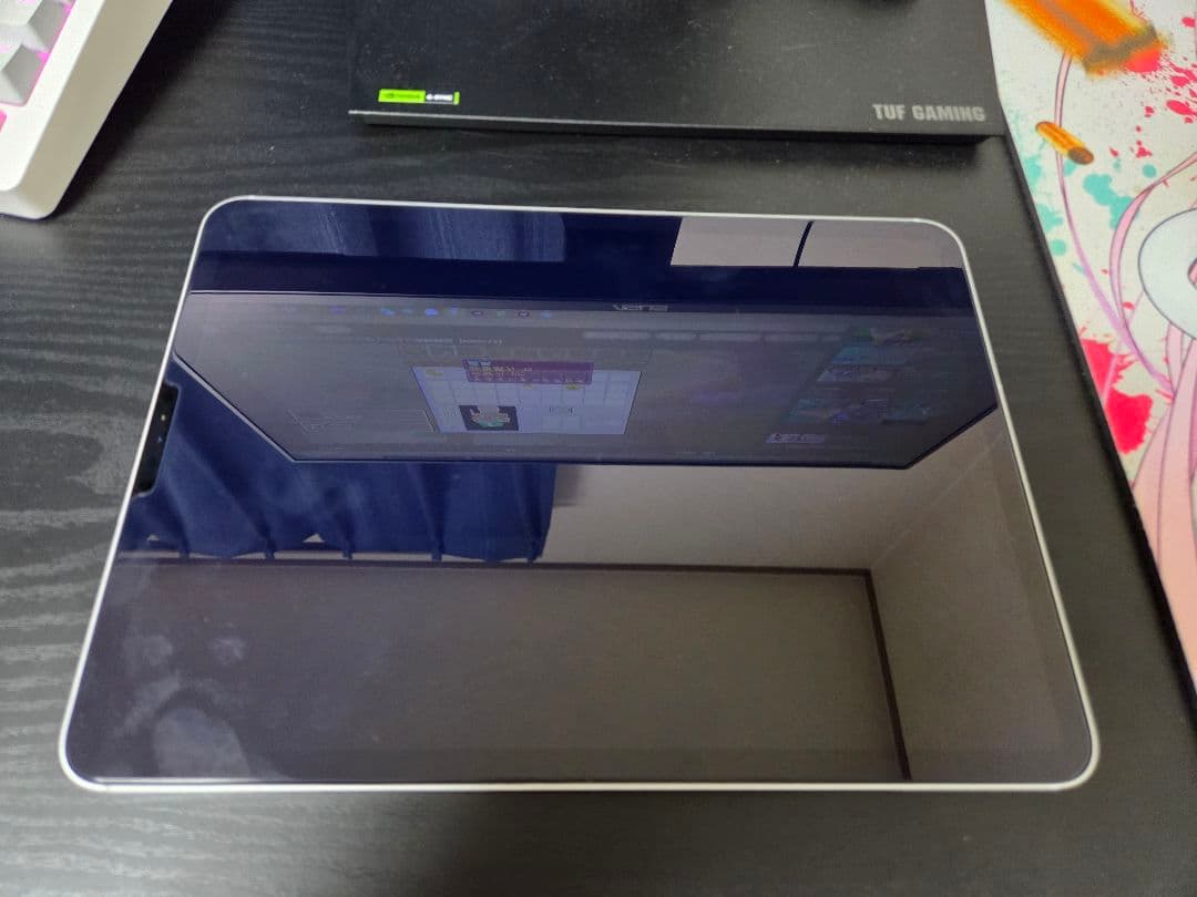 Apple iPad Pro 11インチ 第二世代 256GB IOS26