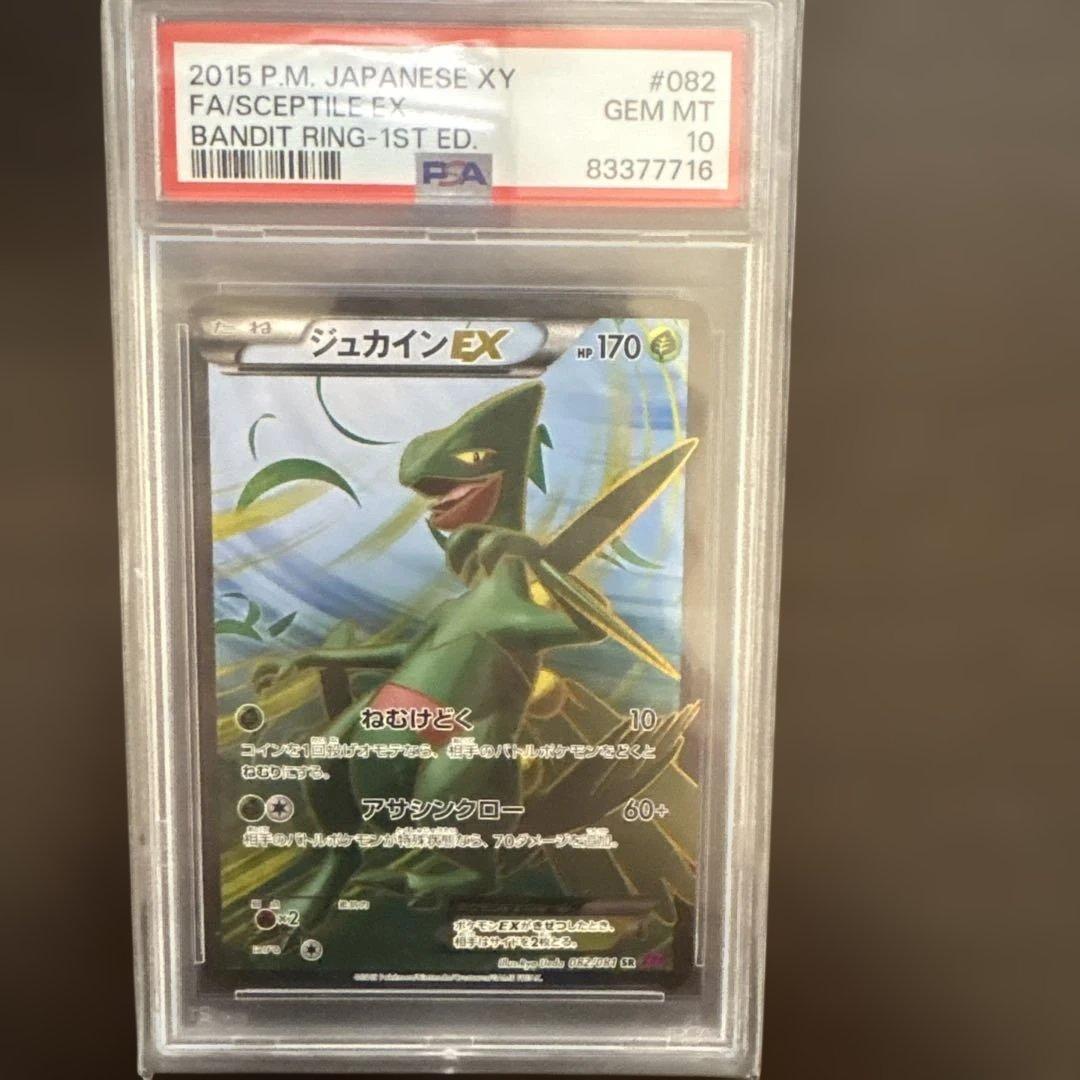 XY バンデットリング ジュカインSR PSA10