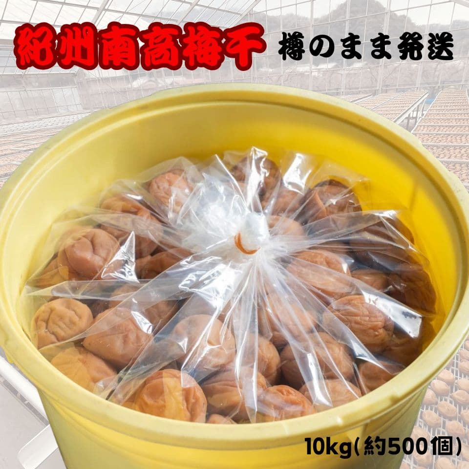 人気爆発！紀州南高梅 樽 10kg つぶれ梅 無添加 和歌山 紀州 白梅