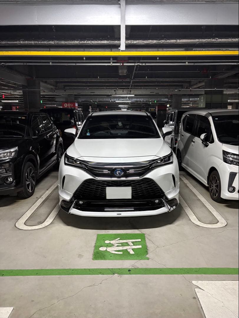 MODELLISTAフードガーニッシュ　80ハリアー