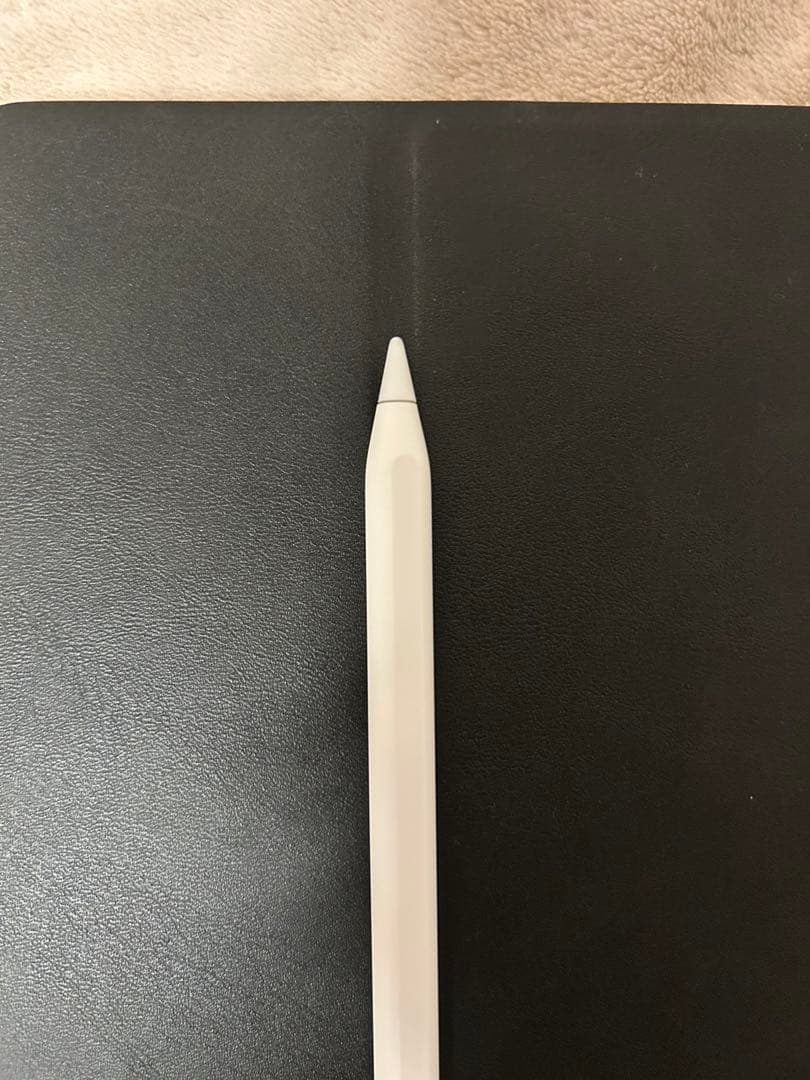 Apple Pencil USB-C （純正、使用10分ほど）