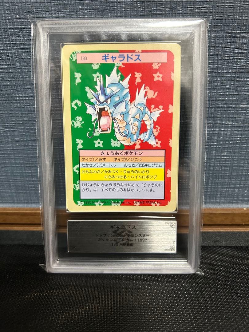 トップサン　ギャラドス　ARS9 裏緑