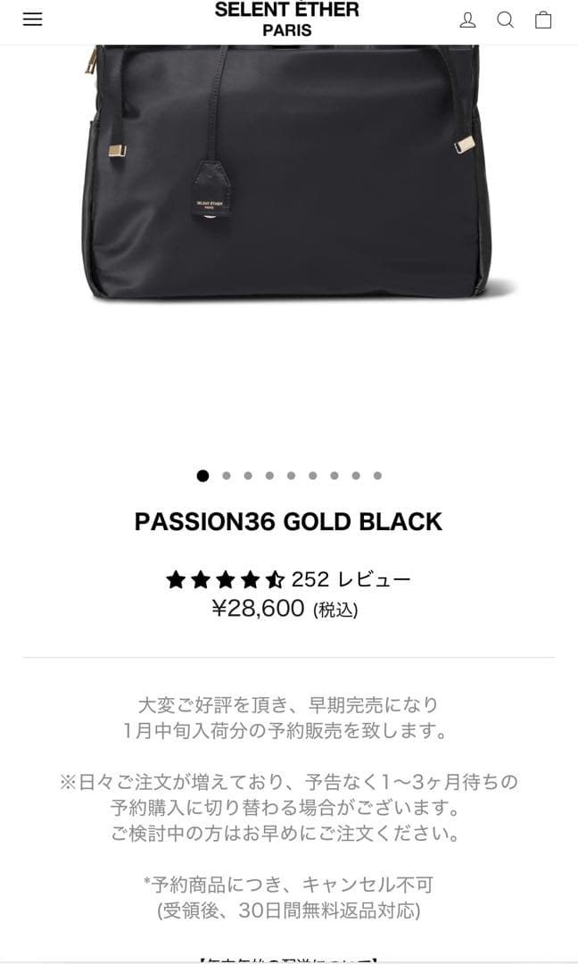 バッグ SELENT ETHER PARIS Passin36 GOLD BLACK