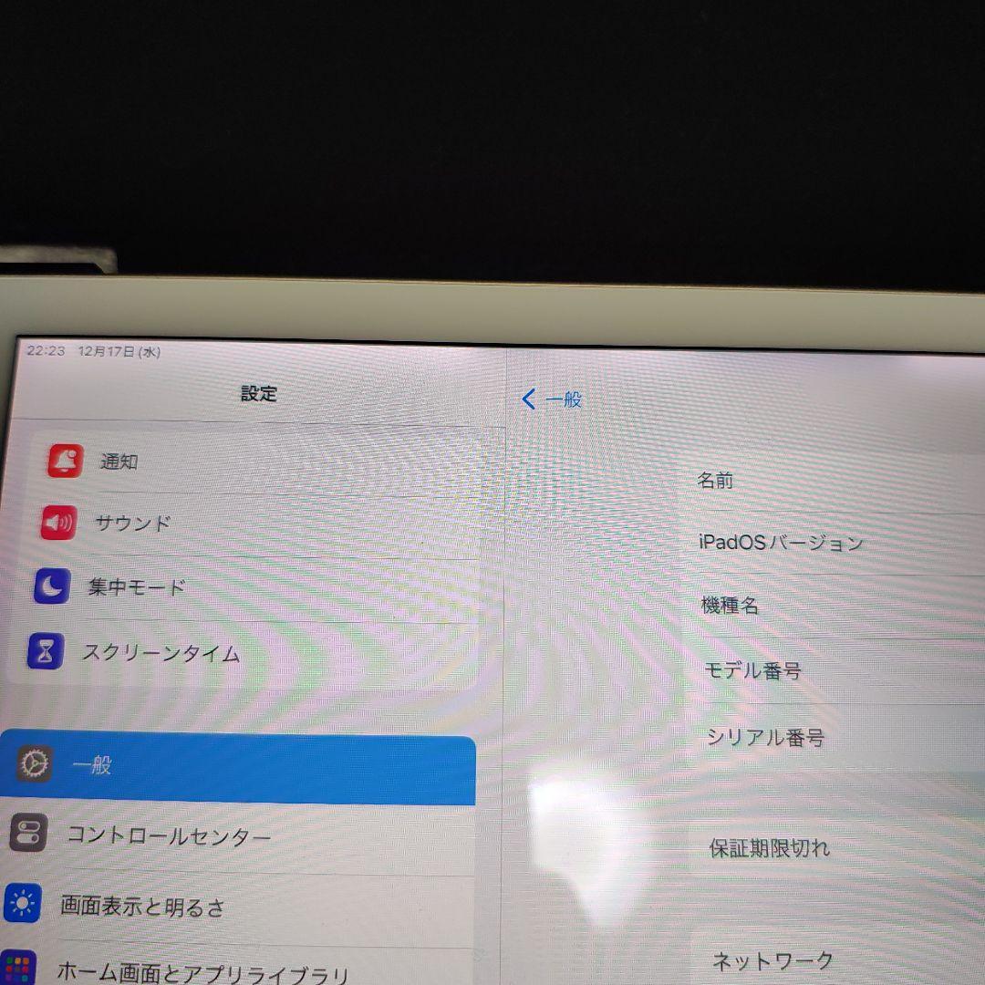 iPad Pro (12.9インチ 第2世代) 256GB