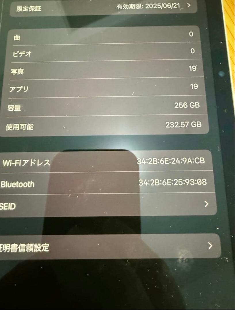 iPad Pro 11in M4 256 WiFi bat100% アップル購入