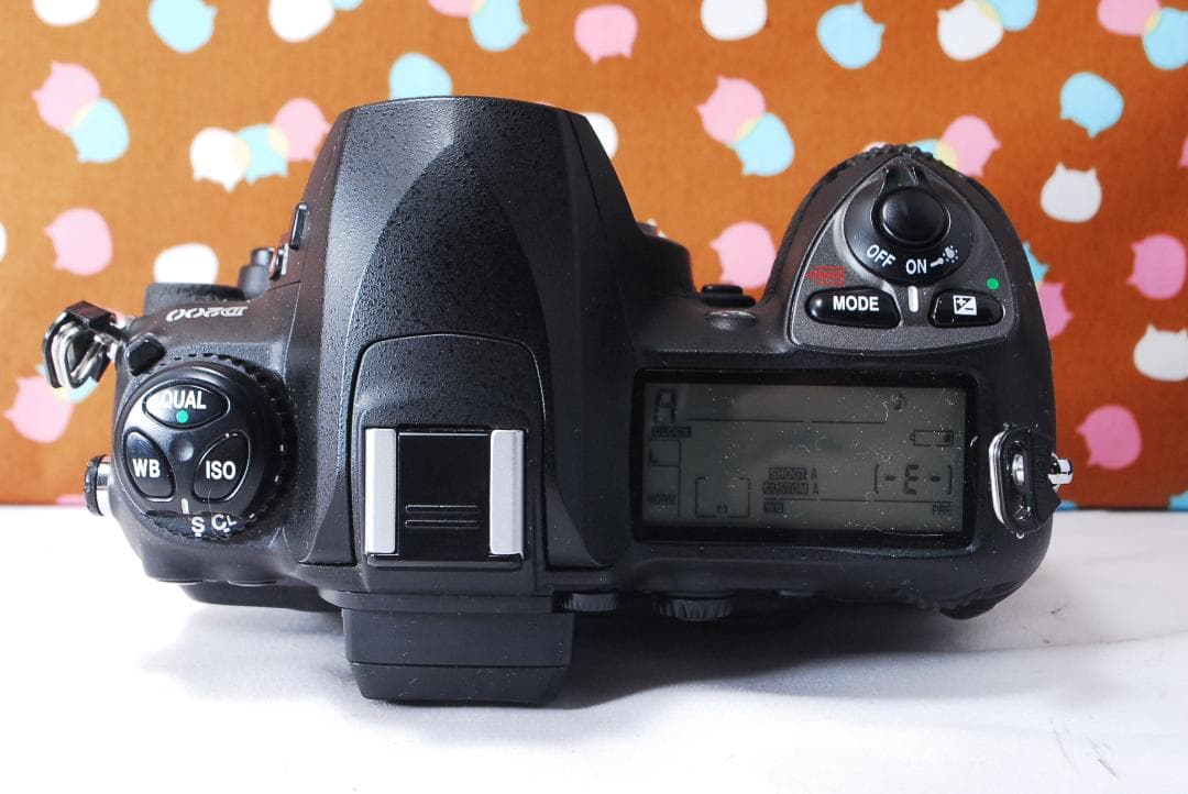 ✨望遠レンズ付き✨美品✨Nikon D200 レンズセット