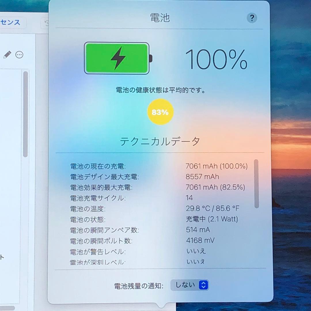 iPad 第9世代 64GB wifiモデル　管理番号：338