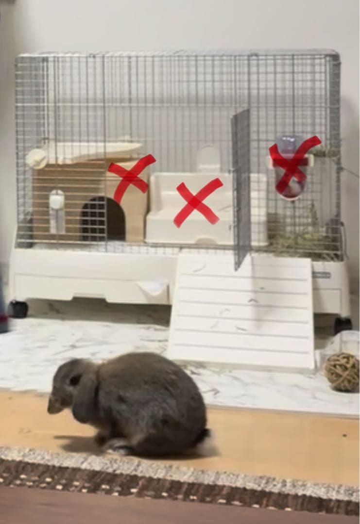 大型メッシュケージ トレー付き