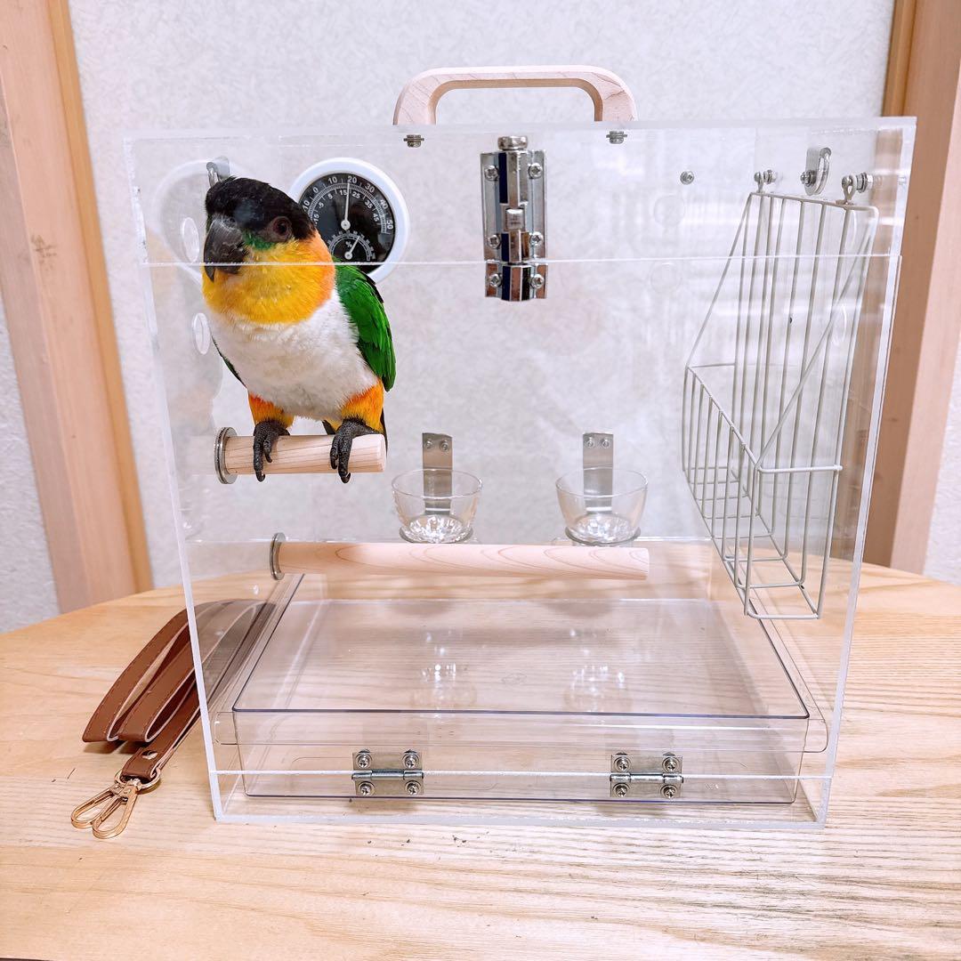 【専用ページ】そるたん様　アクリルケージ　キャリーケース