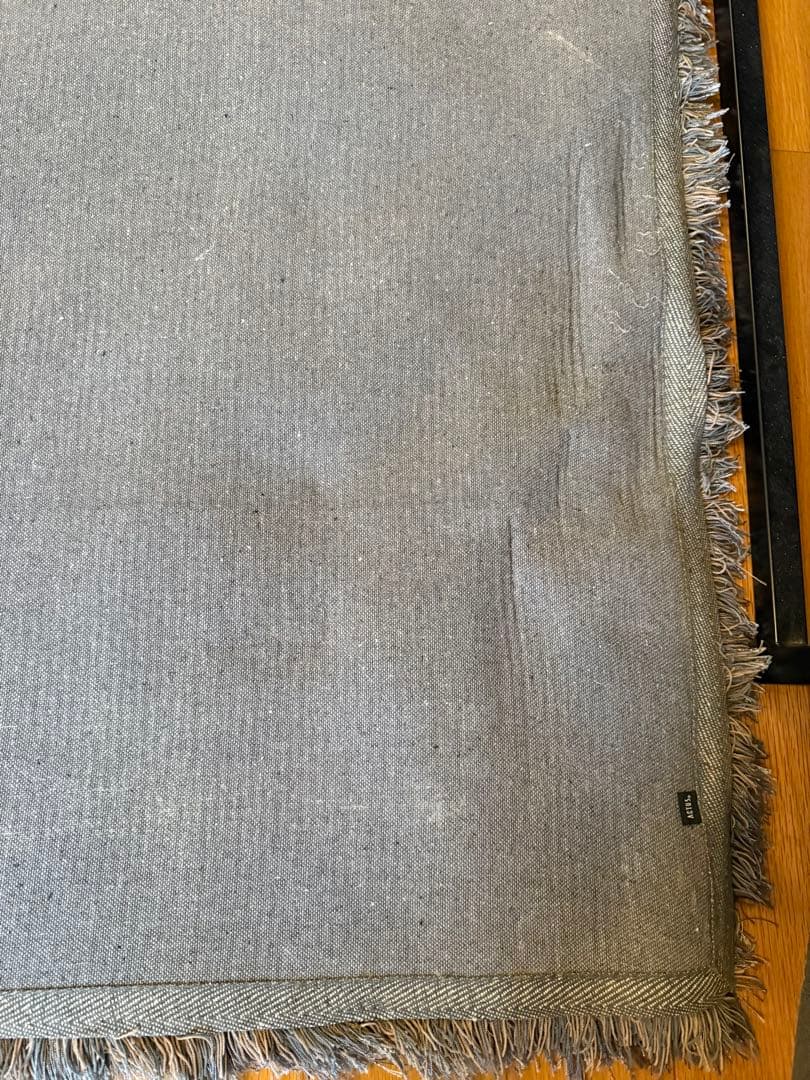 ACTUS アクタス ラグ 1700 × 2400