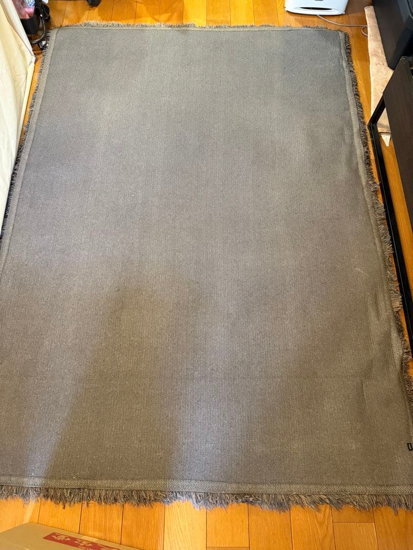 ACTUS アクタス ラグ 1700 × 2400