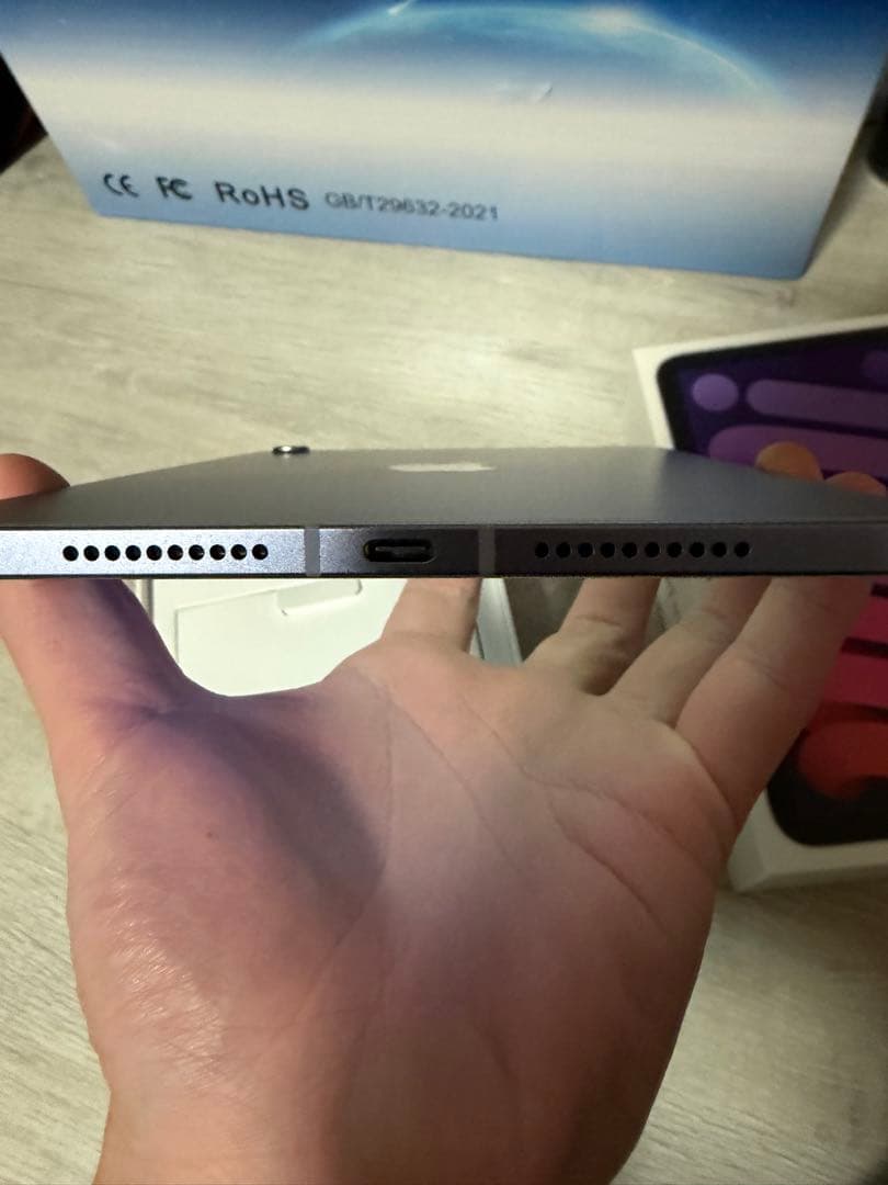 iPad miniセルラーモデル64GB 第6世代