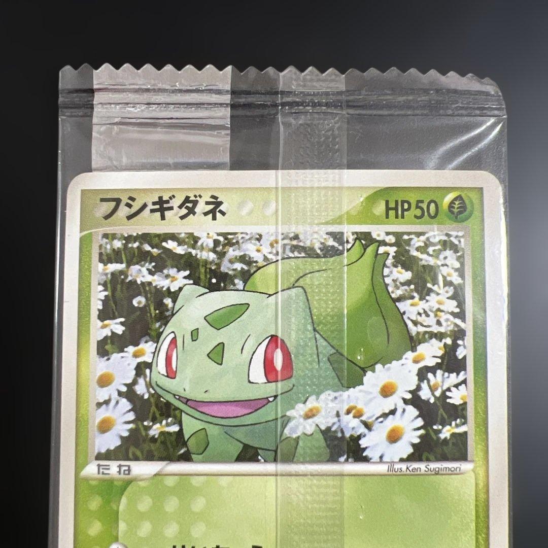 ポケモンカード　フシギダネ　明治チョコスナック　未開封プロモ