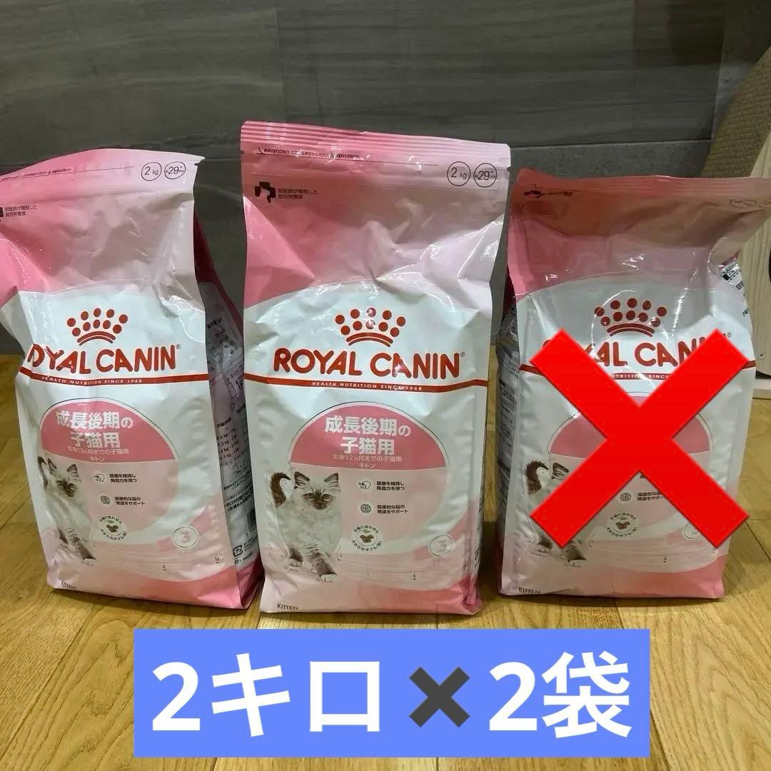 ロイヤルカナン　子猫　後期　2キロ✖️2袋（バラ売り可）