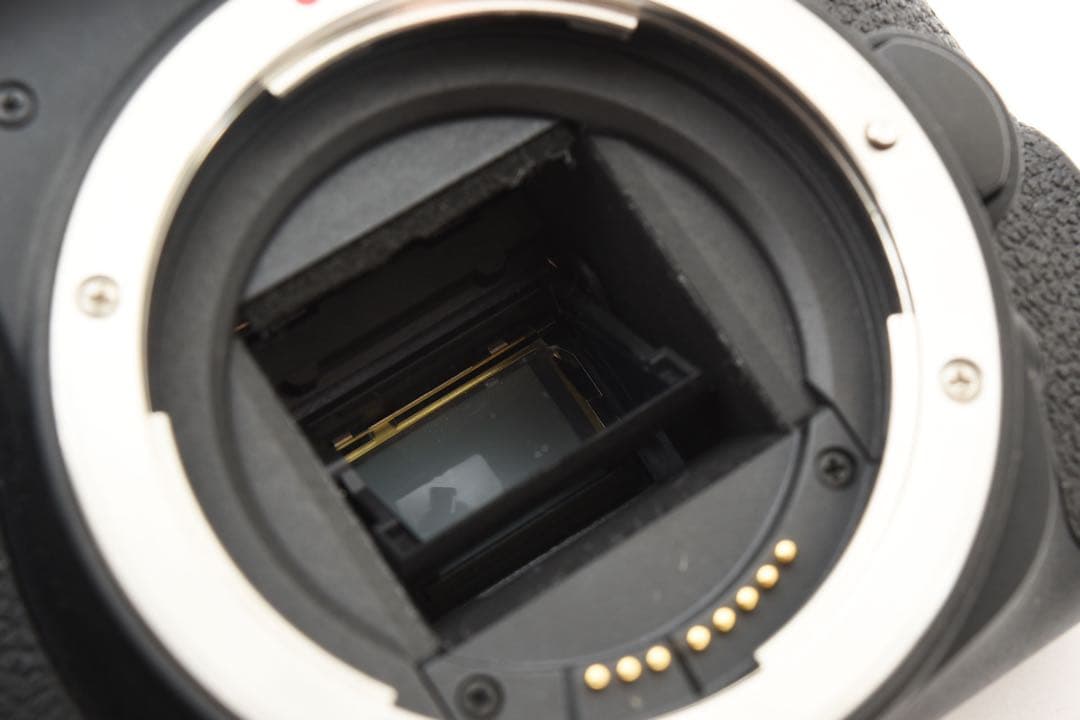 Canon EOS 9000D標準&望遠&単焦点トリプルレンズセット