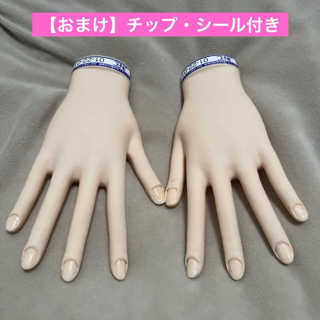 JNEC認定モデルハンド チップ・シール付き