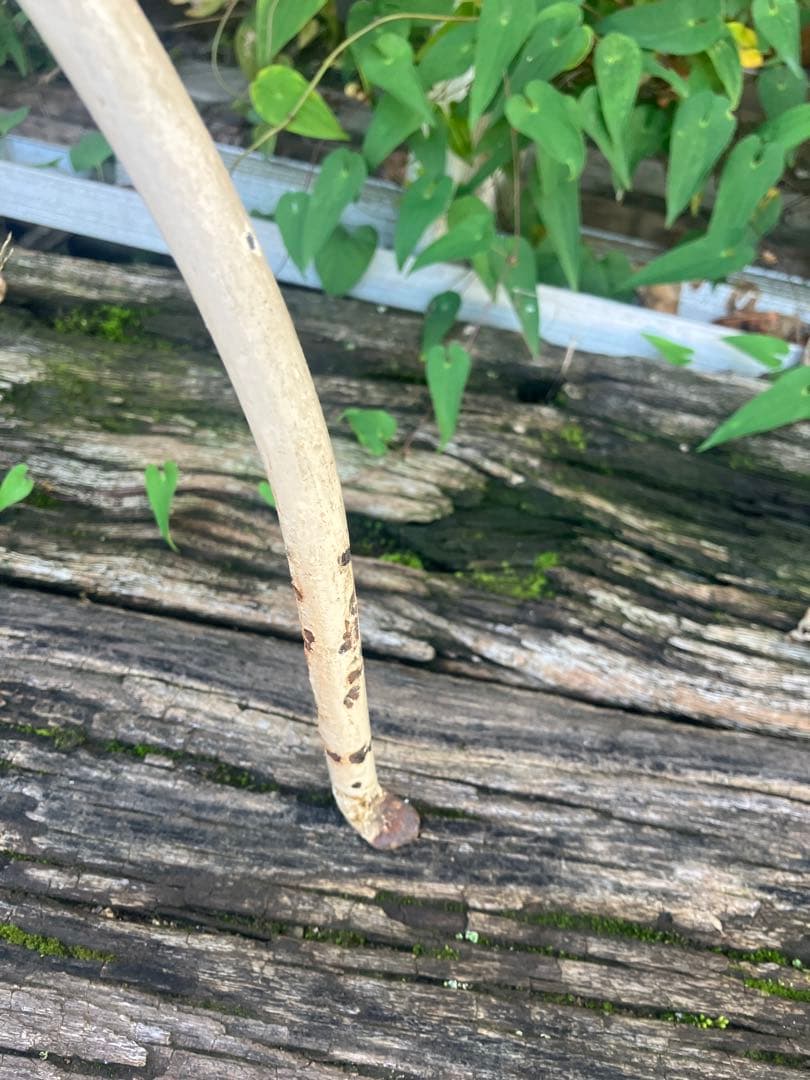 ホーロー洗面器スタンド　昭和レトロ