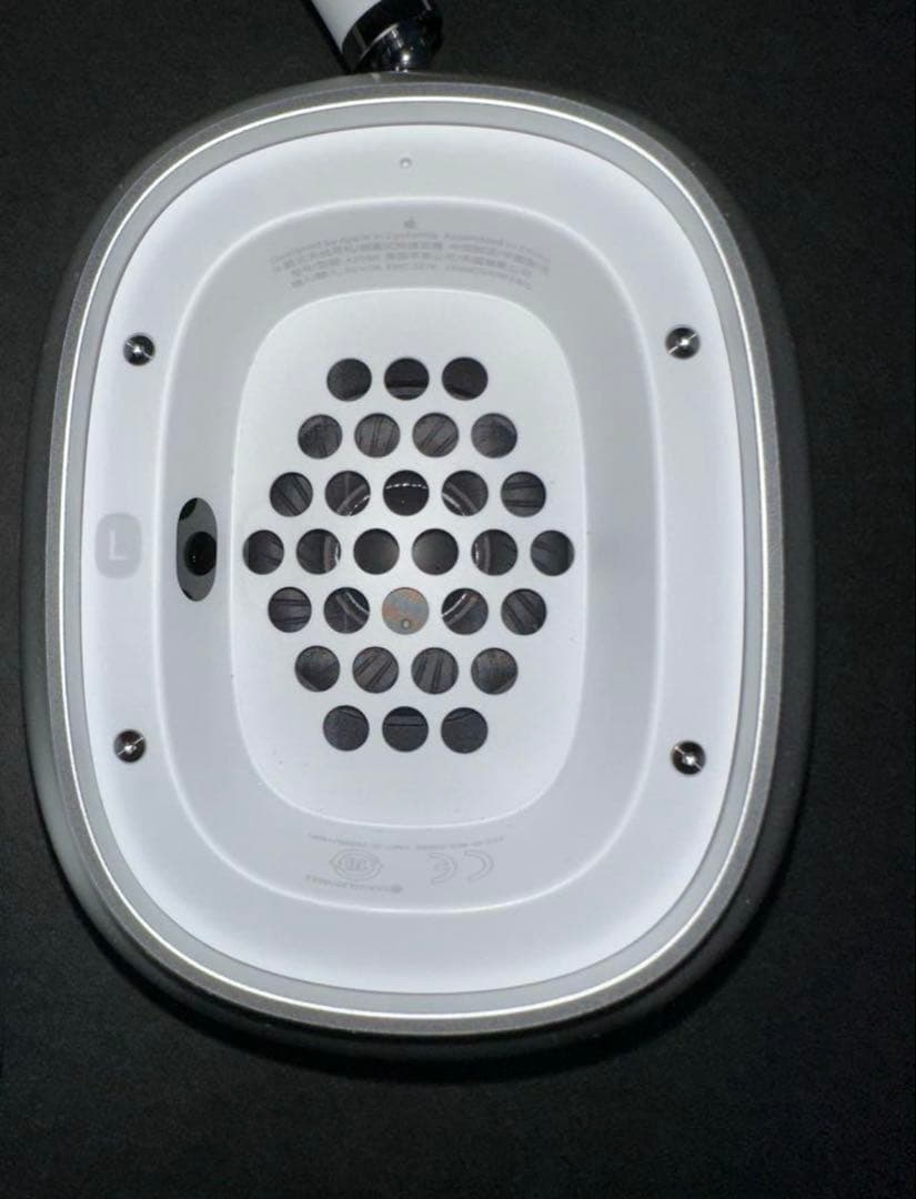 イルカAirPods Max