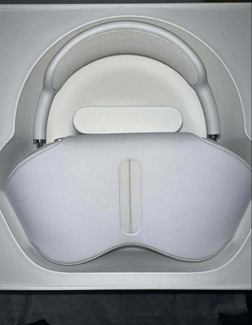 イルカAirPods Max