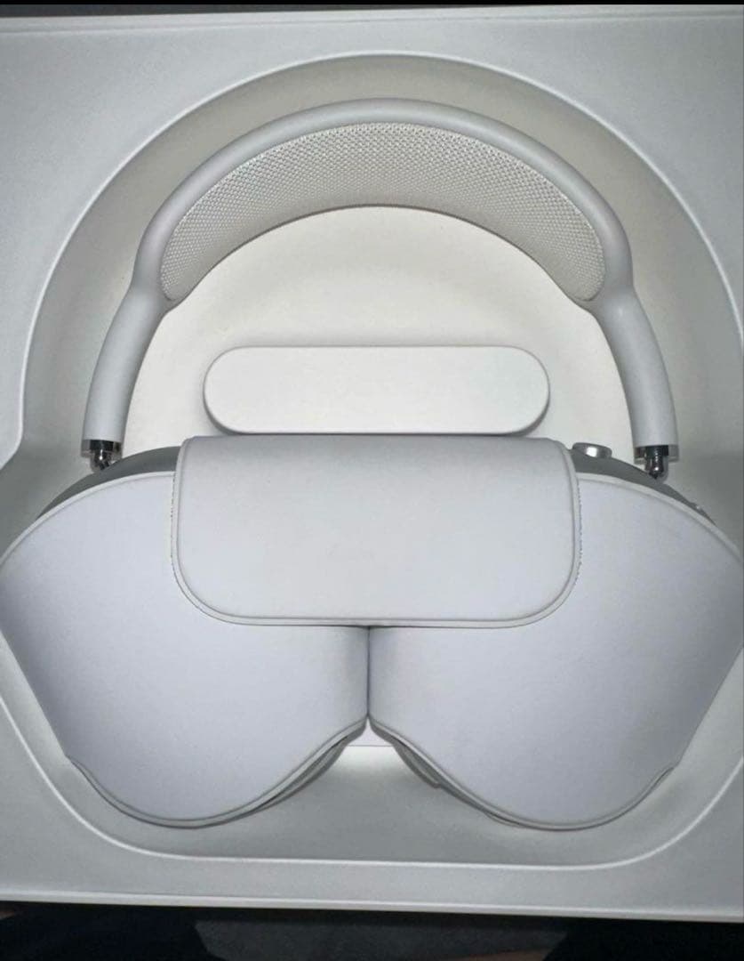 イルカAirPods Max