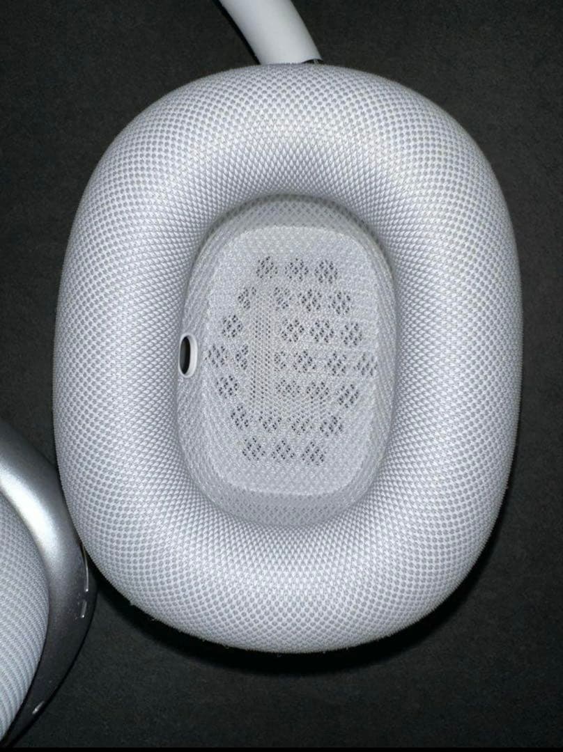 イルカAirPods Max