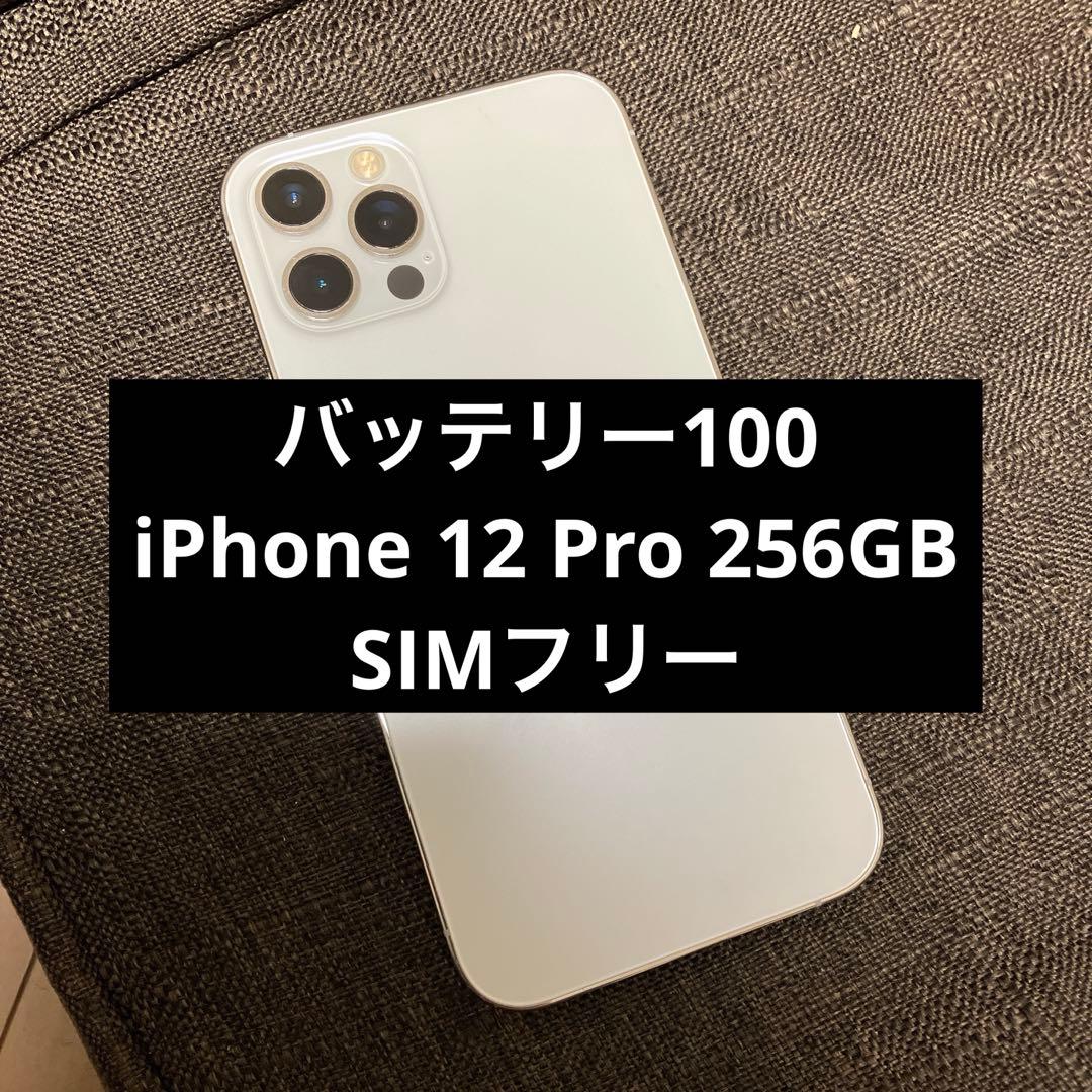 液晶傷なし iPhone 12 Pro 256GB simフリー
