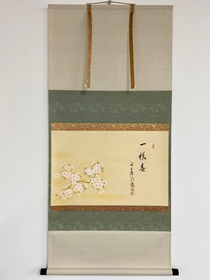 掛軸 茶掛 戸上明道【一様春】自筆 桜 画讃 玉瀧寺 大徳寺 住職 横物 軸装