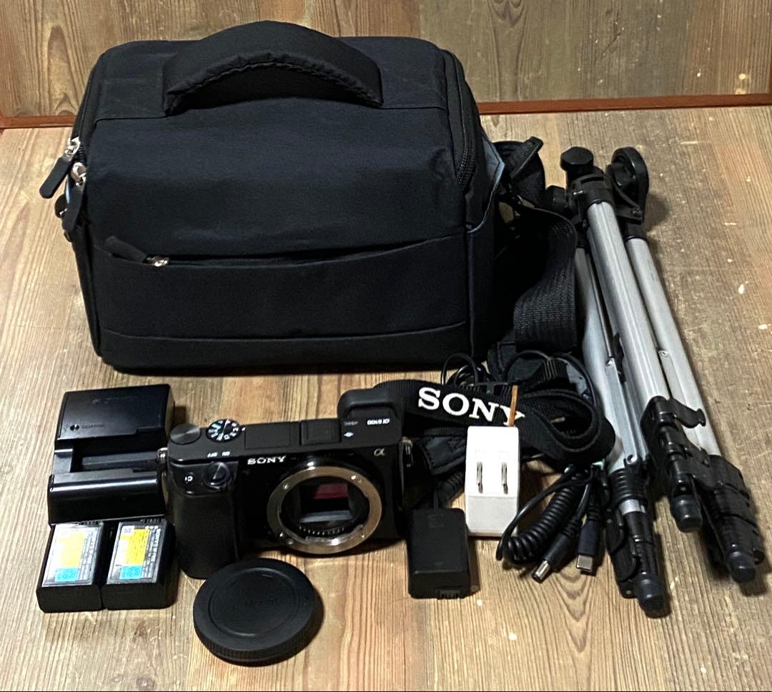SONY α6100 ソニー　ミラーレス一眼　純正予備バッテリー付