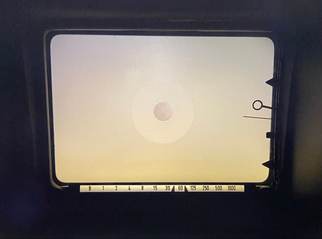 【整備品】Minolta SRT101 ボディ