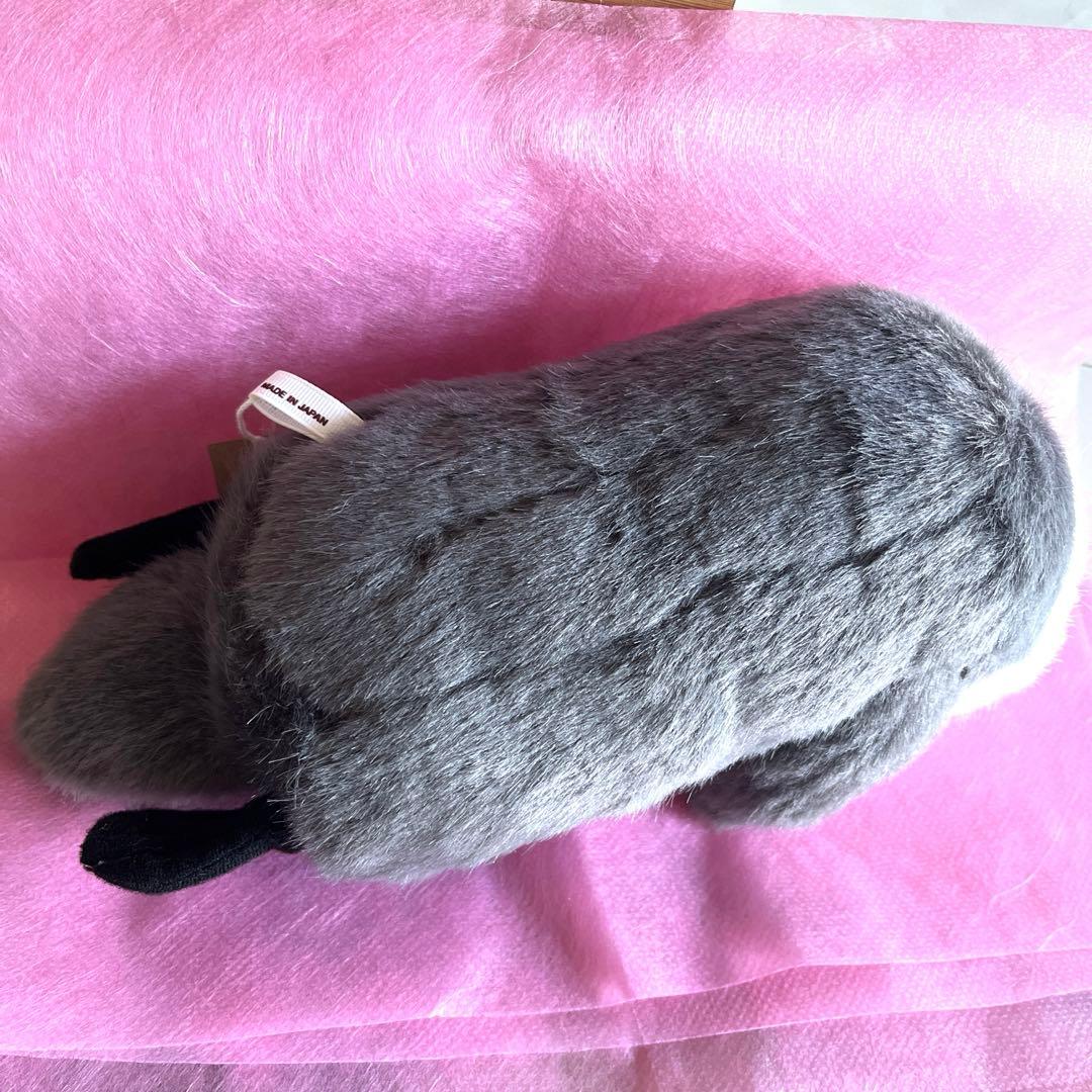 専用・ラッコさん・作家・ばんばぱえりあさん♡