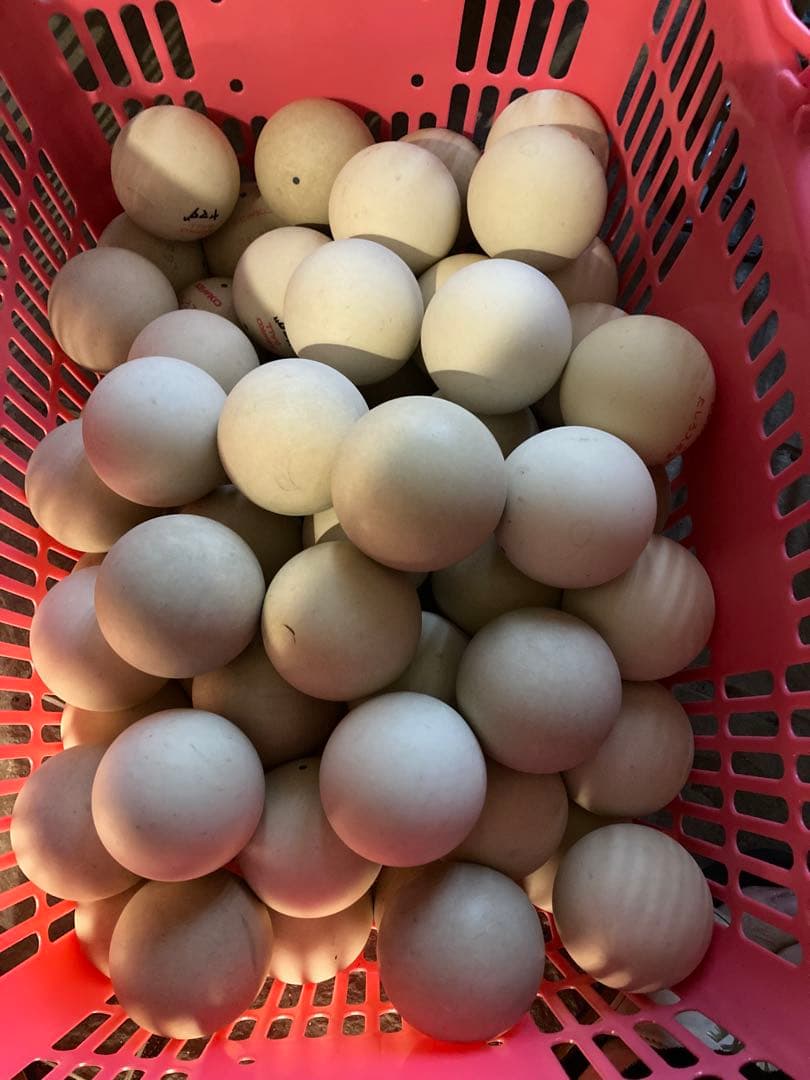 ソフトテニスボール70球　ケンコー公認球9割以上