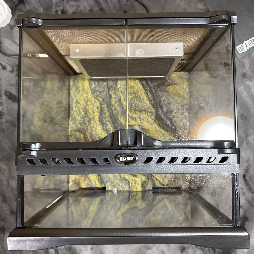 GEX EXOTERRA グラステラリウム3030 飼育ゲージ フルセット