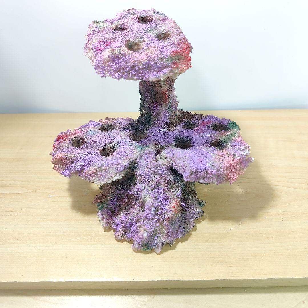 プラグ穴付き アク抜き不要人工ライブロック 海水水槽 レプリカ コーラルフラグ6