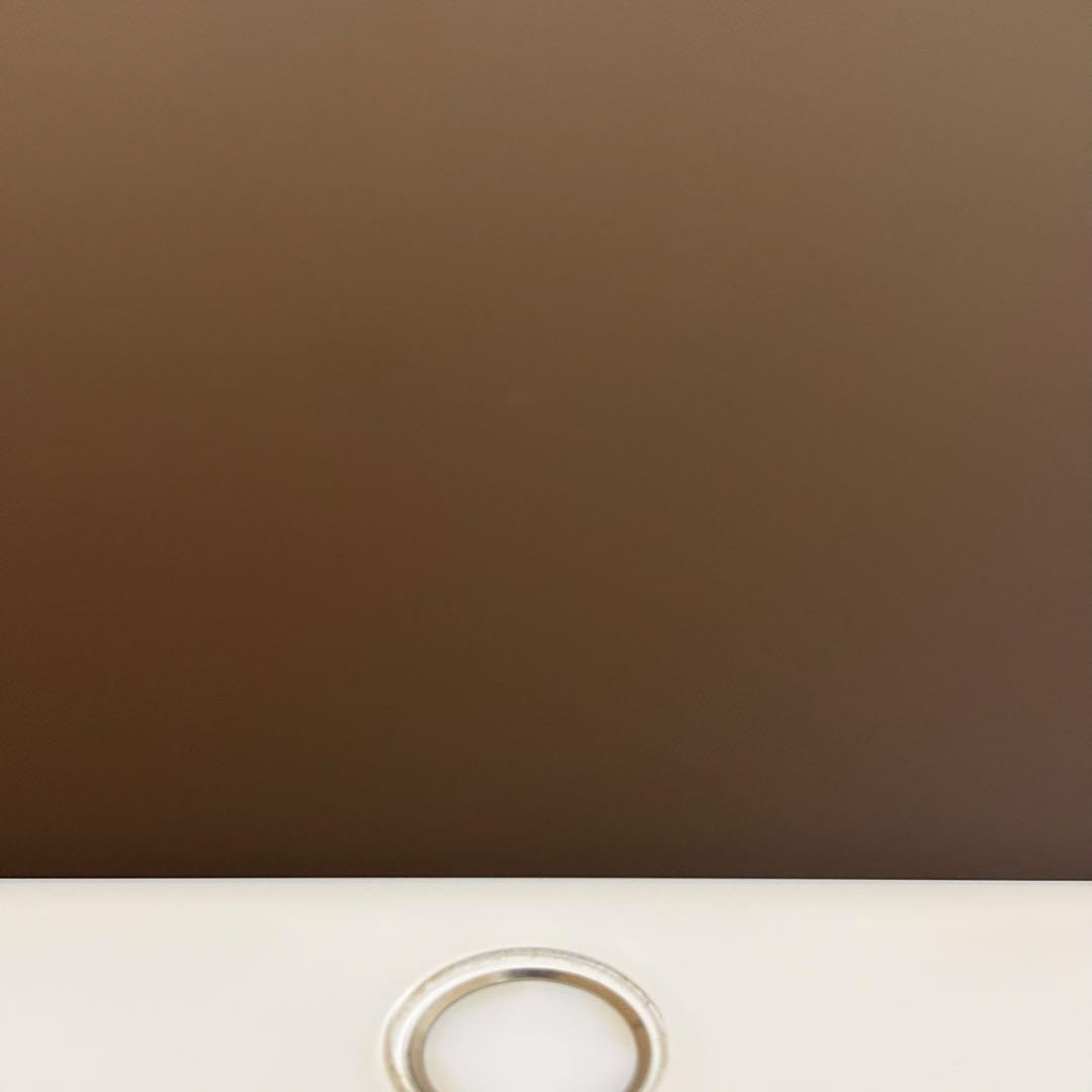 Apple iPad mini 第５世代シルバー WI-FI本体ジャンク