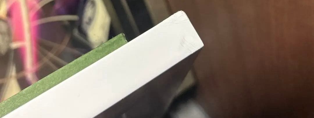 アールビバン 版画 Anmi ME版 夢見るフラミンゴ ミクスドメディア