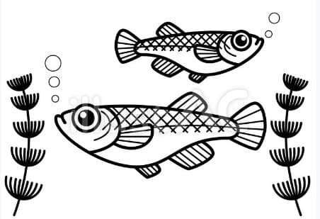 【Hi_　DH-915R(W)】