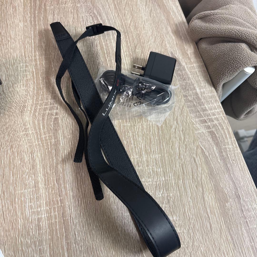 LUMIX DC-G100D カメラ+標準ズームレンズ　セット