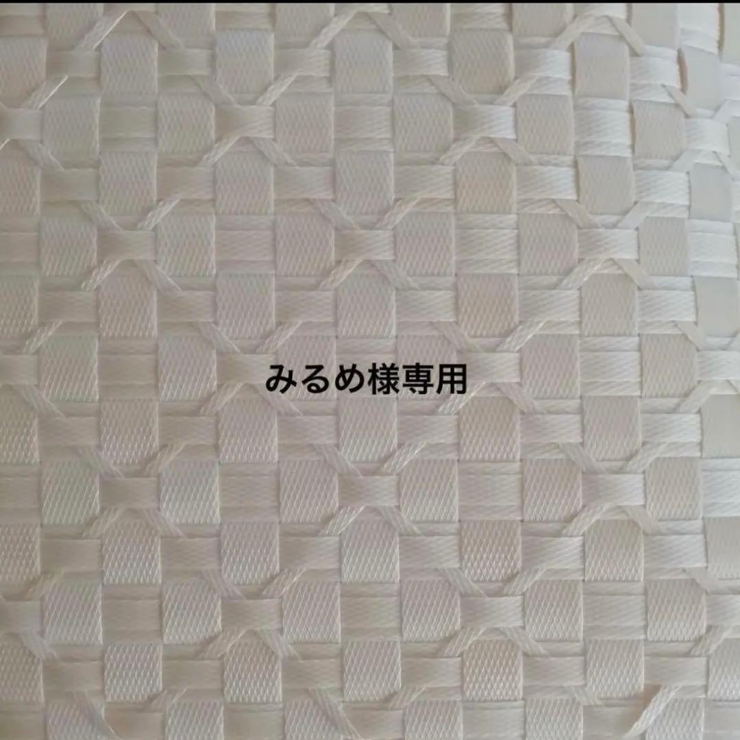 みるめ⭐︎プラカゴ　2点