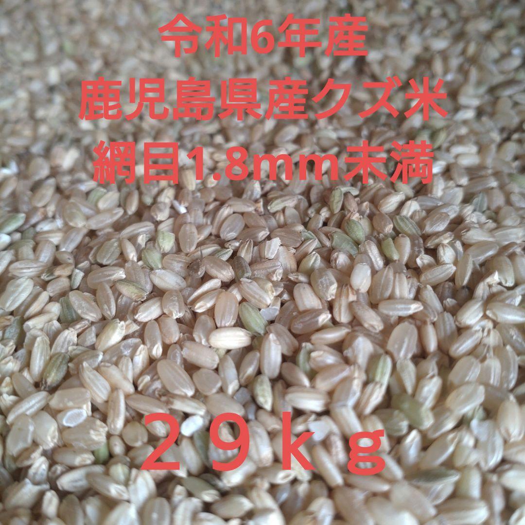 令和6年産 くず米 クズ米 小米