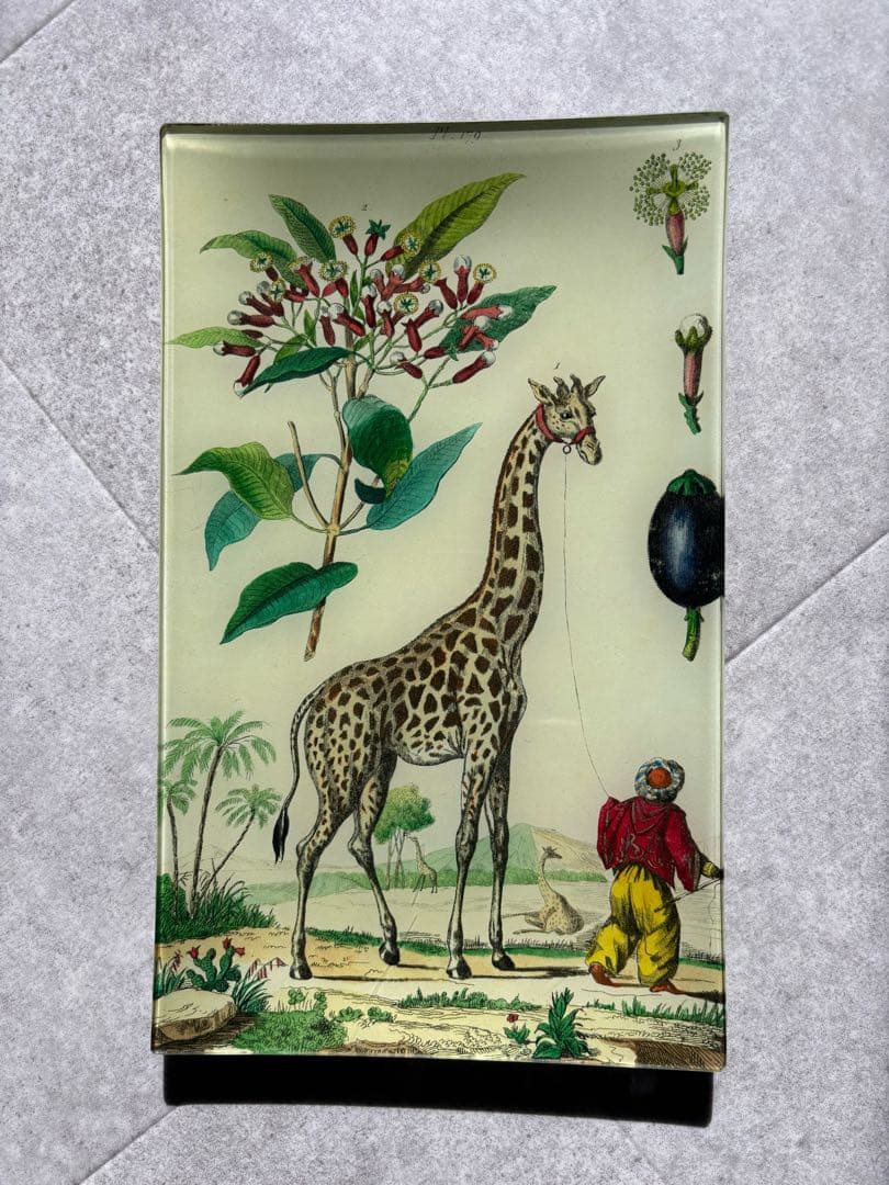 ジョンデリアン　デコパージュプレート　キリン