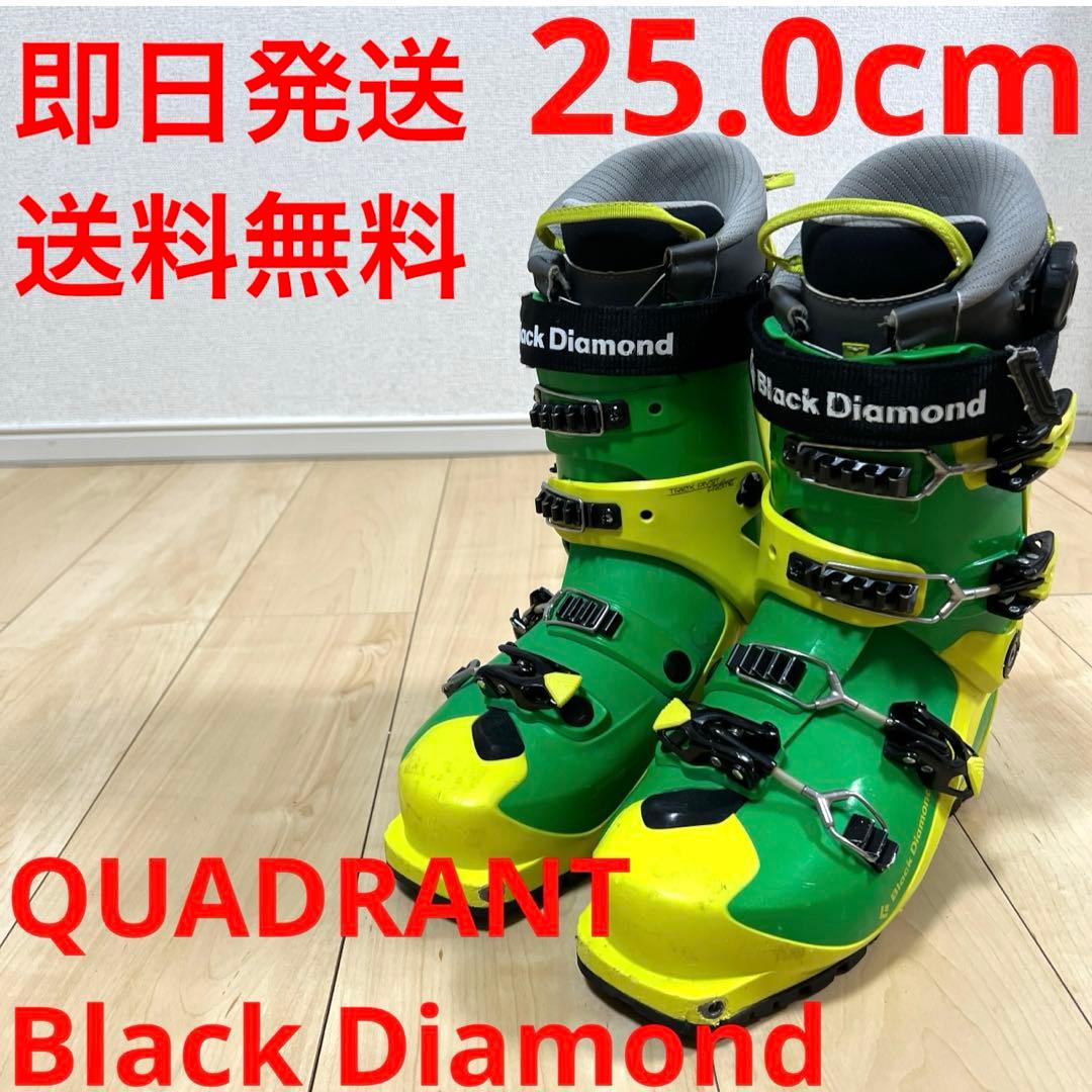 【即日発送】 メンズ　QUADRANT 25.0cm