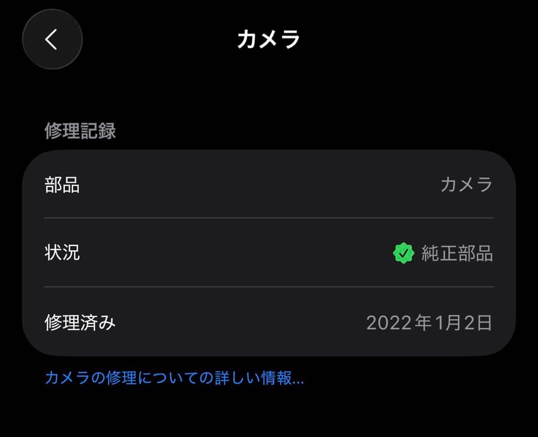 Apple iPhone13 Pro 256GB グラファイト