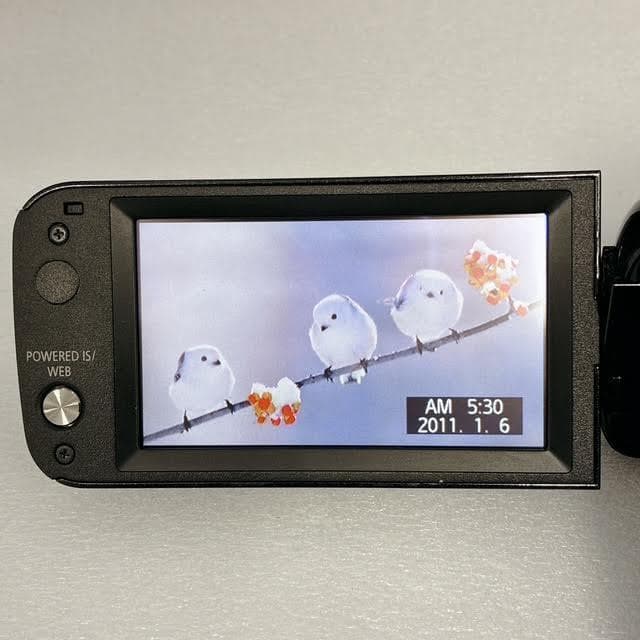 【美品】Canon デジタルビデオカメラ IVIS HF M43 64GB