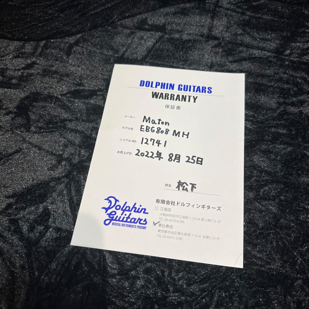 Maton 秦基博　シグネーチャーモデル　アコースティックギター