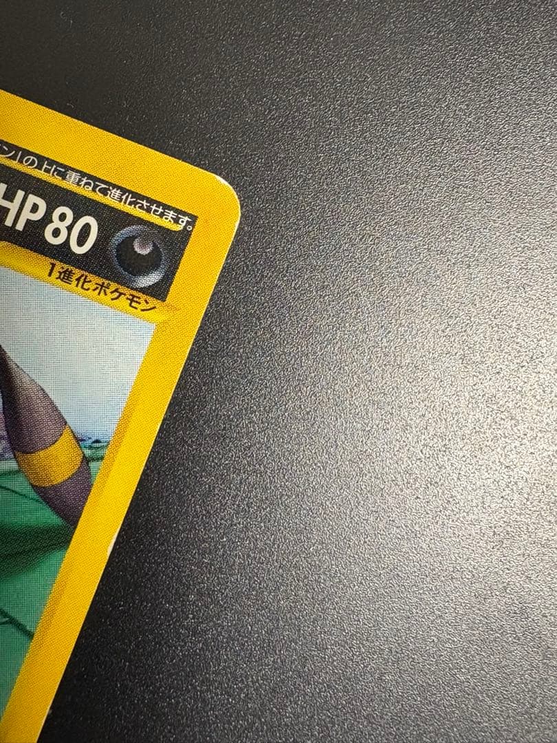 ブラッキー マクドナルドプロモ　025/p