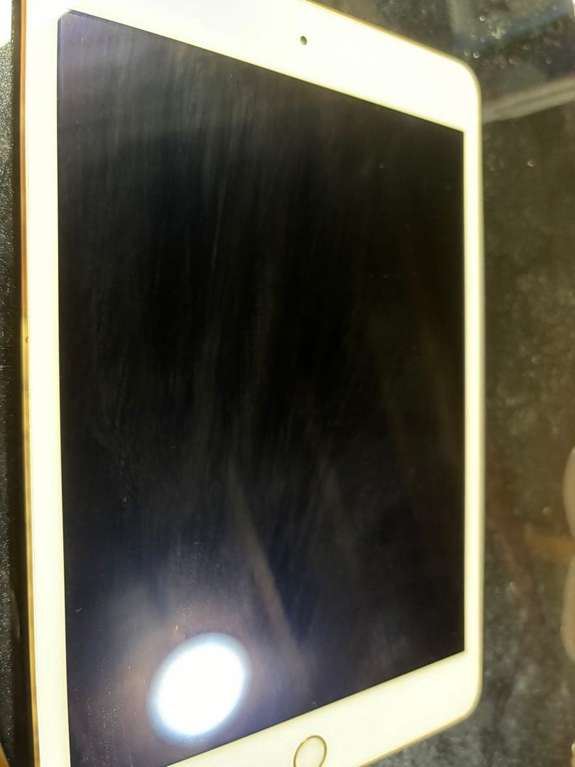 iPad mini4 64gb wifiモデル