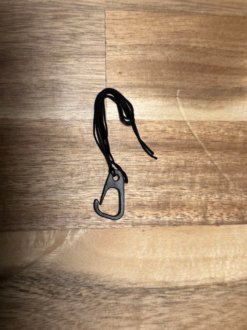 デジタルカメラ Nikon coolpix950