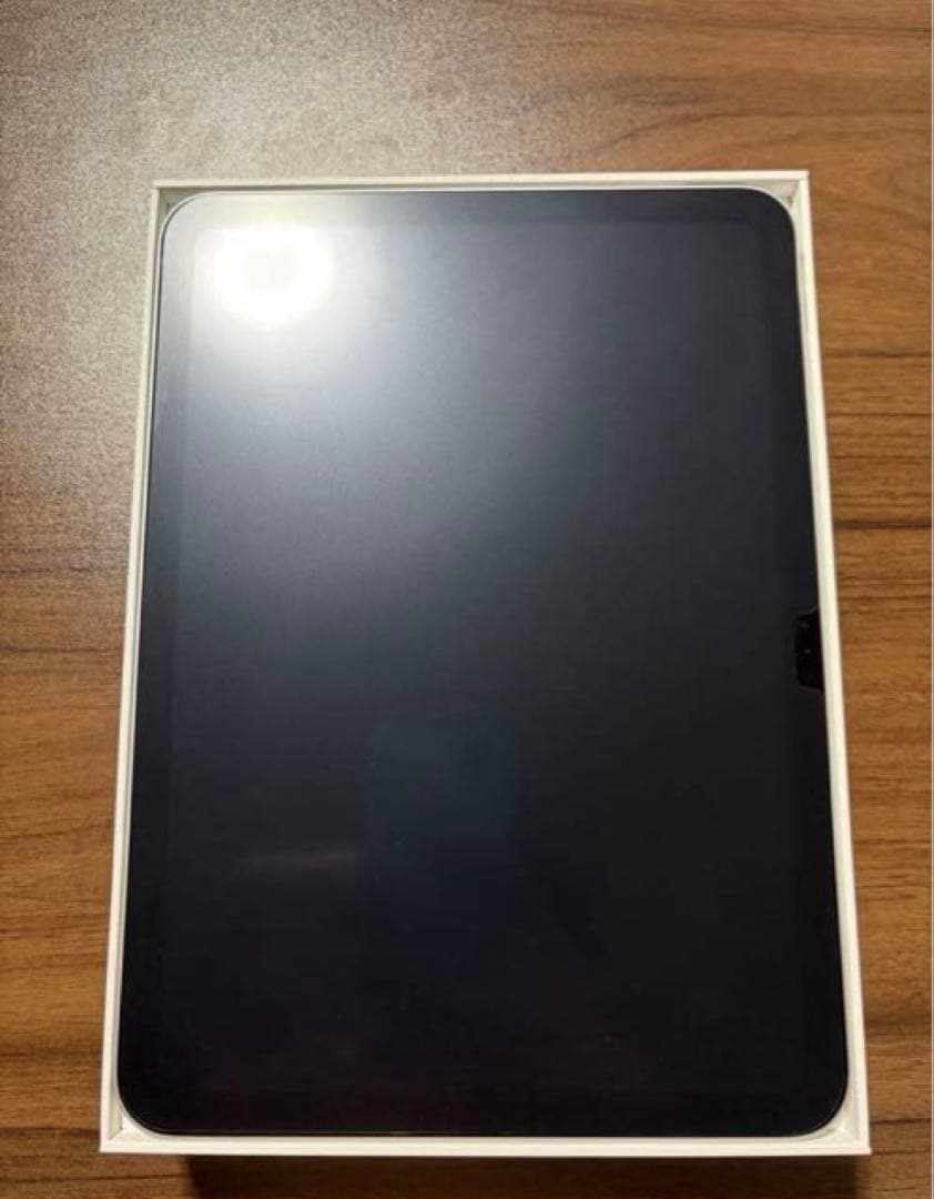 Apple iPad 10世代 本体