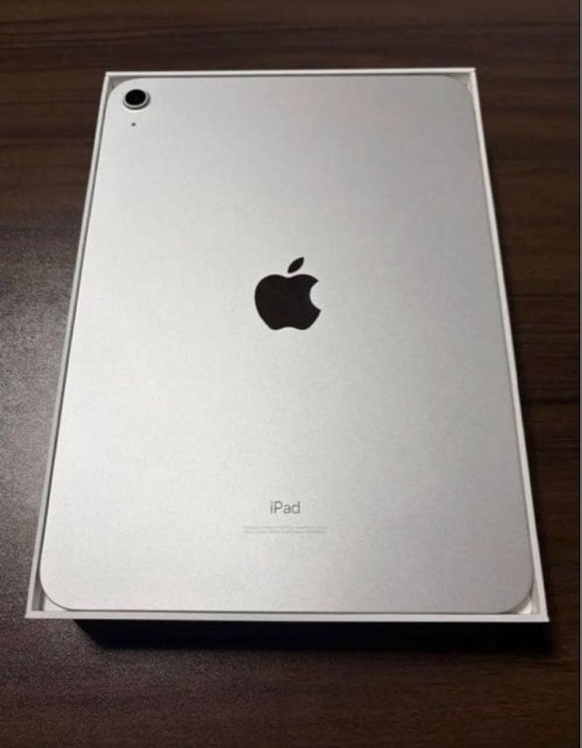 Apple iPad 10世代 本体