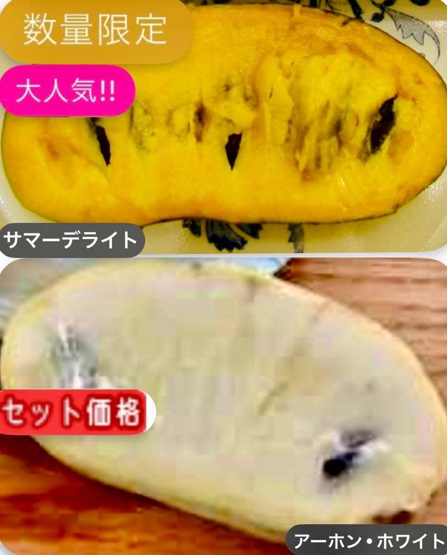 サマーデライト✖️アーホン•ホワイト (クオリティB) 2本セット価格 9000円
